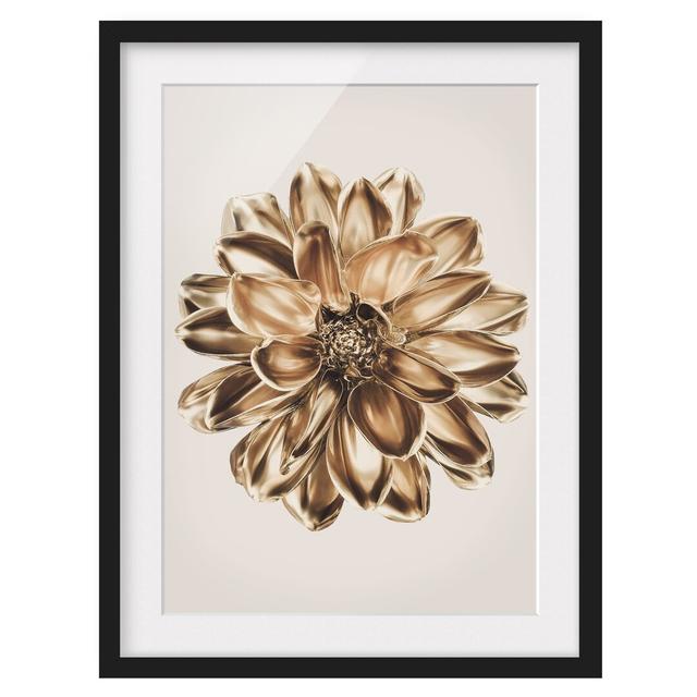 Dahlia Flower Gold Metallic - Picture Frame Graphic Art Ebern Designs Frame Option: Black Framed, Size: 40cm H x 30cm W x 2cm D on Productcaster.