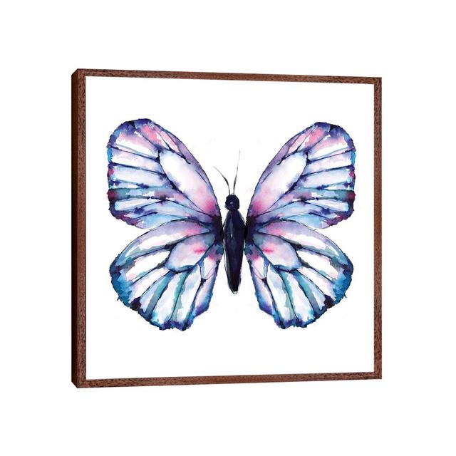 Butterfly Iridescent by Sara Berrenson - Print on Canvas August Grove Format: Classic Brown Wood Framed, Size: 66.04cm H x 66.04cm W x 3.81cm D on Productcaster.