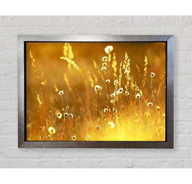 Sommerliches Sonnenlicht über dem Feld - Einzelne Bilderrahmen Kunstdrucke Bright Star Größe: 100cm H x 141,4cm B x 3,4cm T on Productcaster.