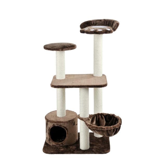 Joelle 116cm H Cat Tree Archie & Oscar Colour: Brown on Productcaster.