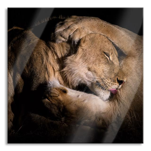 Men and Women Cuddle Lion - Unframed Photograph on Glass Brayden Studio Size: 70cm H x 70cm W x 0.4cm D on Productcaster.