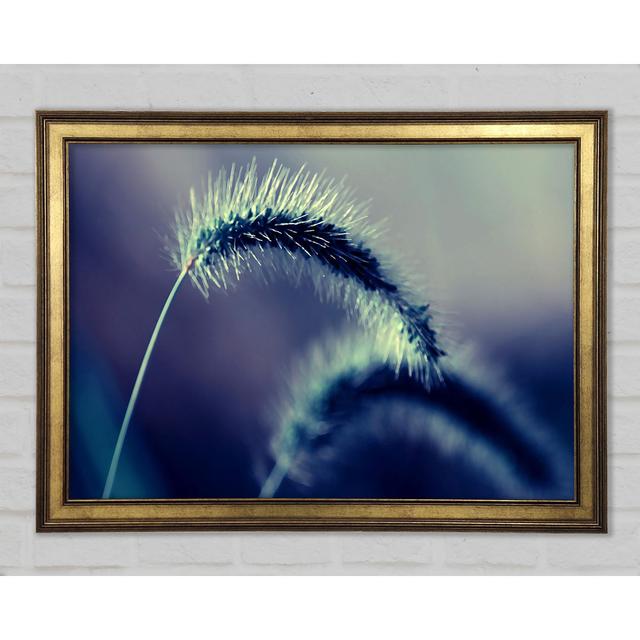 Spikelets Macro - Print Latitude Run Size: 42cm H x 59.7cm W x 1.5cm D on Productcaster.