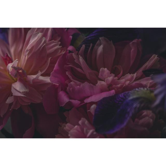 Peonies Background Image by Jeja - Wrapped Canvas Print 17 Stories Size: 20cm H x 30cm W on Productcaster.