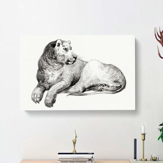 Young Lion by Jean Bernard - Wrapped Canvas Drawing Print East Urban Home Size: 35cm H x 50cm W x 3cm D on Productcaster.