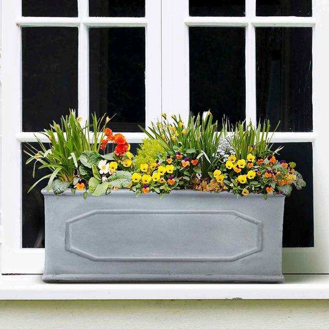 Chelsea Planter Box HORTICO Size: 6.69" H X 15.74" W X 6.69" D, Colour: Grey on Productcaster.