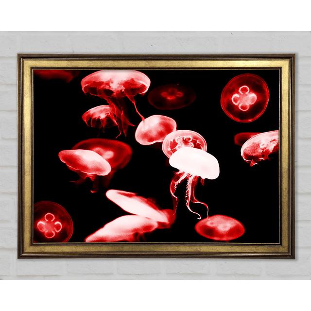 Red Neon Jellyfish Framed Print Highland Dunes Size: 42cm H x 59.7cm W x 1.5cm D on Productcaster.