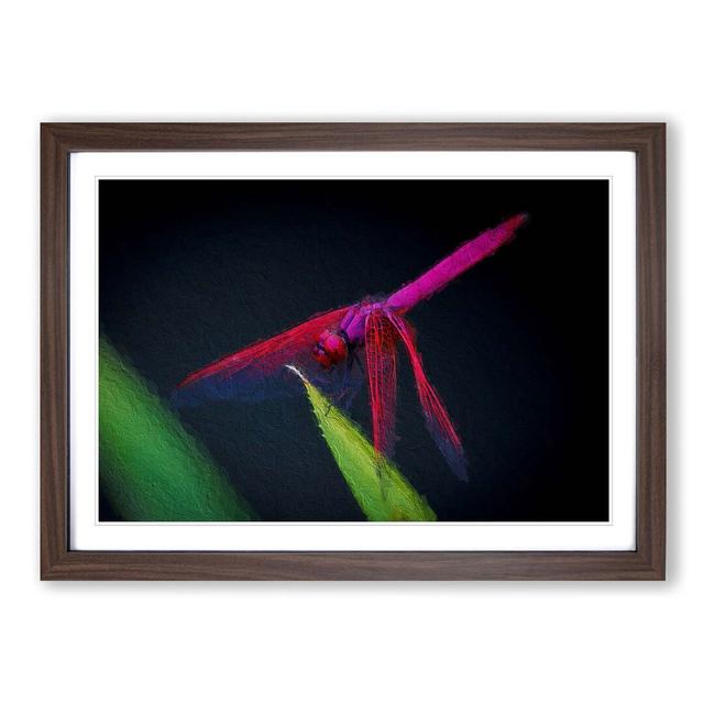 Dragonfly - Picture Frame Painting Print East Urban Home Frame Option: Walnut Framed, Size: 27cm H x 36cm W x 2cm D on Productcaster.