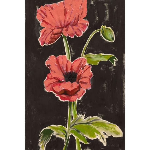 Haloed Poppies I by Grace Popp - Wrapped Canvas Print Rosalind Wheeler Size: 46cm H x 30cm W on Productcaster.