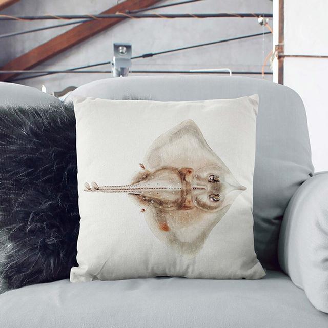 Illustration of a Rough Skate Fish by F.E. Clarke Cushion with Filling East Urban Home Size: 55cm H x 55cm W x 20cm D, Backing Colour: White on Productcaster.