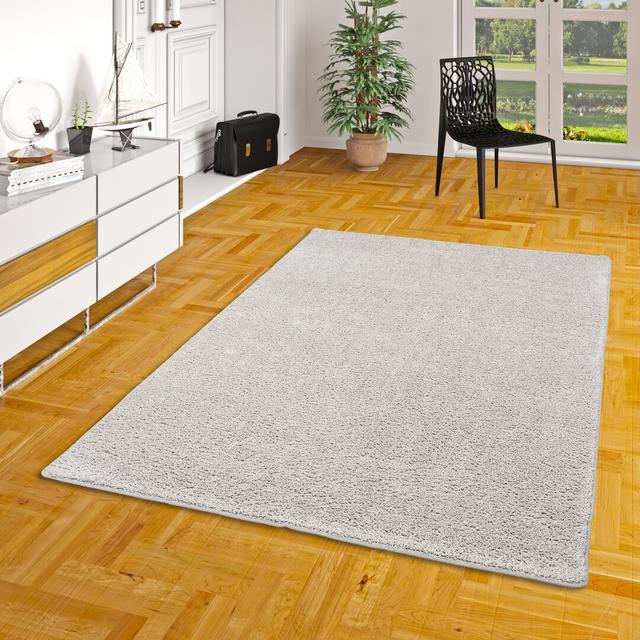 Enzleigh Tufted Silver Rug 17 Stories Rug Size: Rectangle 160 x 240cm on Productcaster.