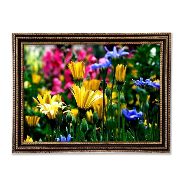 Vail Flowers In Colorado Framed Print Ebern Designs Size: 84.1cm H x 118.9cm W x 3cm D on Productcaster.