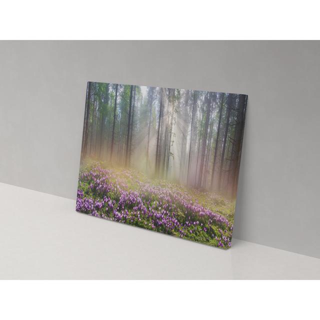 Bluebell Woodland - Wrapped Canvas Graphic Art ClassicLiving Size: 102cm H x 153cm W x 4cm D on Productcaster.