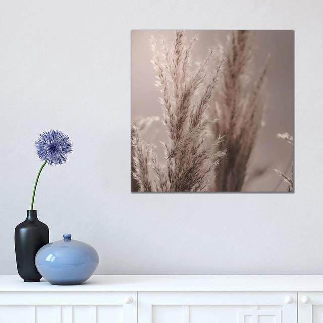 Pampas Reed VI Square by Monika Strigel - Wrapped Canvas Print Latitude Run Size: 45.72cm H x 45.72cm W x 1.9cm D on Productcaster.