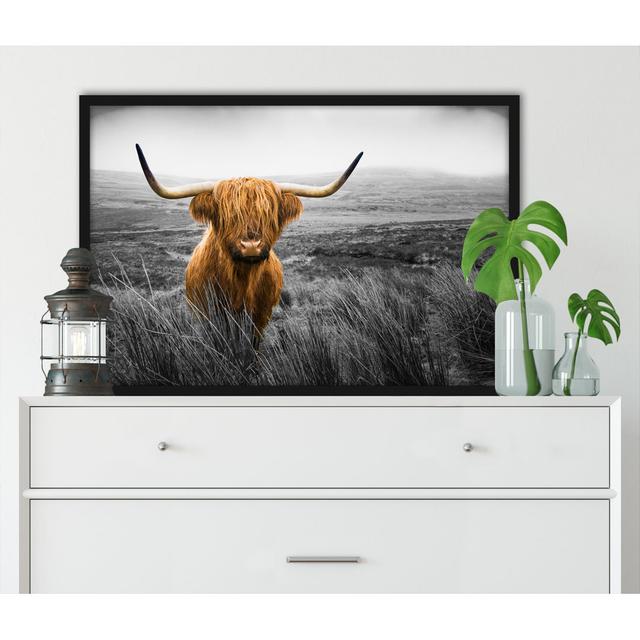 Gerahmtes Poster Highland Cattle with Large Steppe Horns Natur Pur Größe: 38 cm H x 30 cm B x 2.5 cm T on Productcaster.