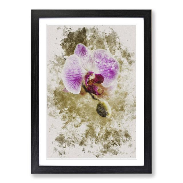 Orchid Flowers Vol.6 - Picture Frame Painting East Urban Home Size: 48cm H x 36cm W x 2cm D, Frame Option: Black Framed on Productcaster.