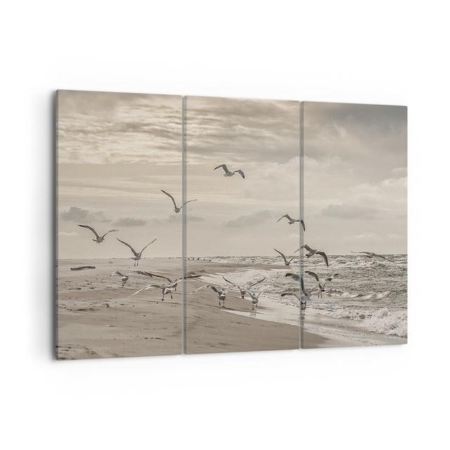 Gulls Coast Boho - 3 Piece Wrapped Canvas Photograph Ebern Designs Size: 70cm H x 105cm W x 1.8cm D on Productcaster.