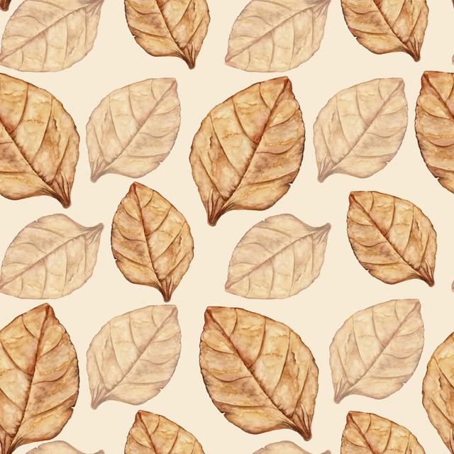 Seamless Pattern with Tobacco Leaf by Rina_Ro - Wrapped Canvas Graphic Art ClassicLiving Size: 91cm H x 91cm W on Productcaster.