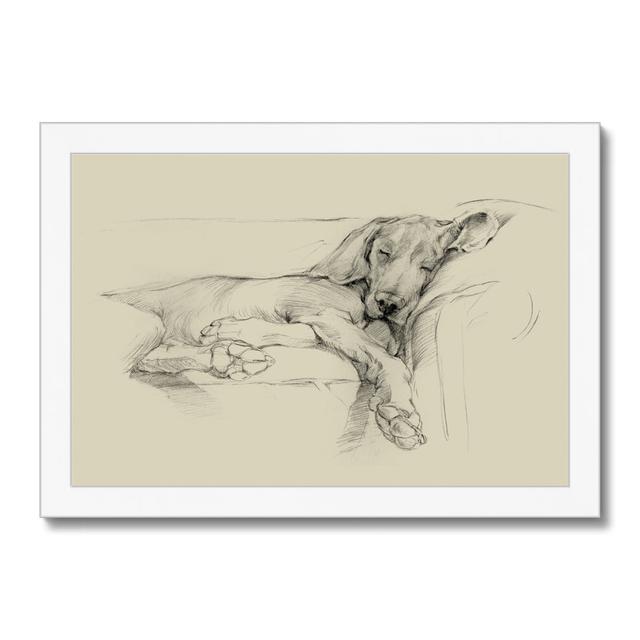 'Dog Days I' by Ethan Harper - Wrapped Canvas Drawing Print Three Posts Size: 24cm H x 34cm W, Format: White Framed Paper Print on Productcaster.