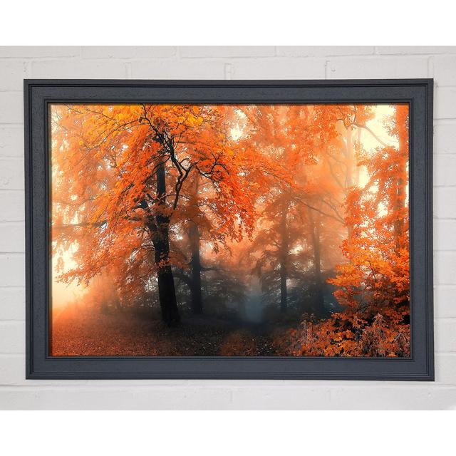 Autumn Orange Mist - Single Picture Frame Art Prints Union Rustic Size: 42cm H x 59.7cm W x 1.5cm D on Productcaster.