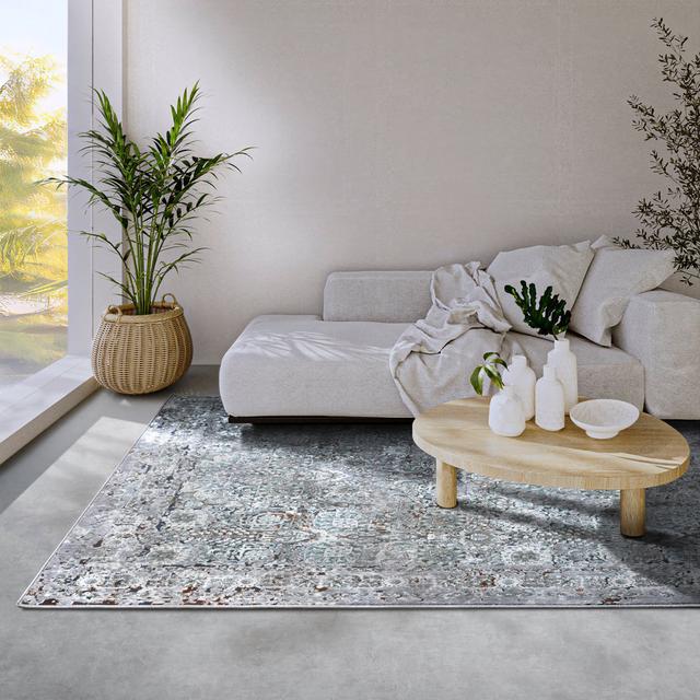 Kollektion 1809 No Pattern And No Solid Colour Machine Woven Light Grey Area Rug Villeroy & Boch Size: Rectangular 115 x 170cm on Productcaster.