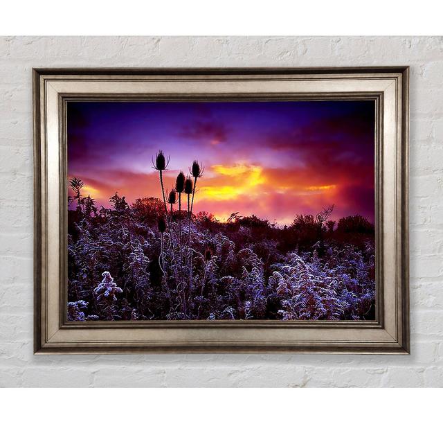 Winter Skies - Single Picture Frame Art Prints Bright Star Size: 84.1cm H x 142.2cm W on Productcaster.