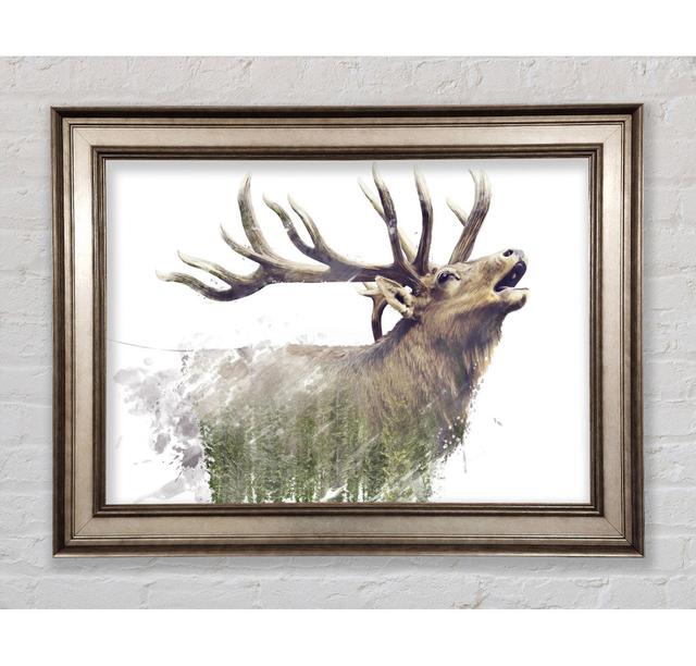 Double Exposure Stag - Single Picture Frame Art Prints Bright Star Size: 42cm H x 59.7cm W x 8 cm D on Productcaster.