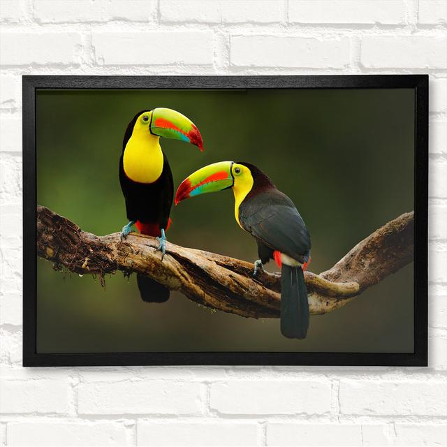 Two Toucans On Branch - Closed Corner Frame Art Prints on Wood 17 Stories Size: 29.7cm H x 42cm W on Productcaster.