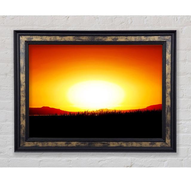 The Glowing Golden Sun - Single Picture Frame Art Prints Bright Star Size: 59.7cm H x 84.1cm W x 8cm D on Productcaster.