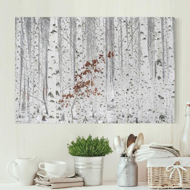 Birch Trees in Autumn - Wrapped Canvas Painting Union Rustic Size: 31cm H x 46cm W, Format: Canvas on Productcaster.