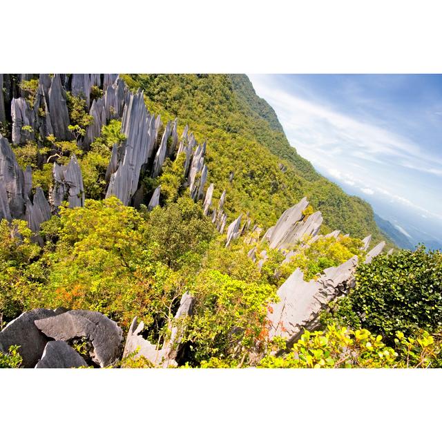 Malaysian Borneo by Kristianridley - Wrapped Canvas Photograph Alpen Home Size: 30cm H x 46cm W on Productcaster.