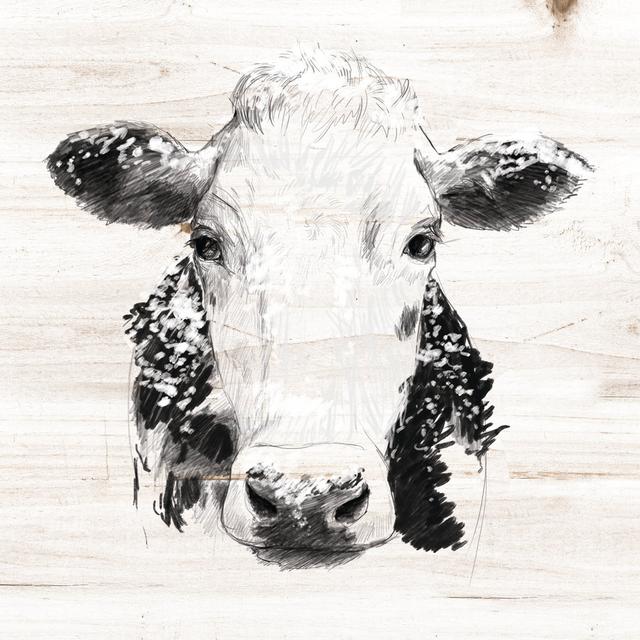 Snowy Cow Drawing - Wrapped Canvas Painting Brambly Cottage Size: 51cm H x 51cm W x 3.8cm D on Productcaster.