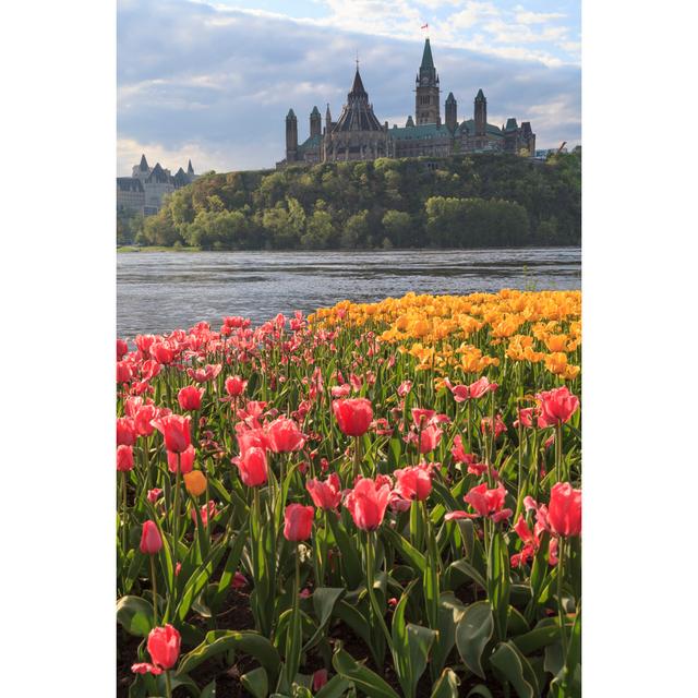 Ottawa Tulip Festival by Gqxue - Wrapped Canvas Photograph 17 Stories Size: 76cm H x 51cm W on Productcaster.