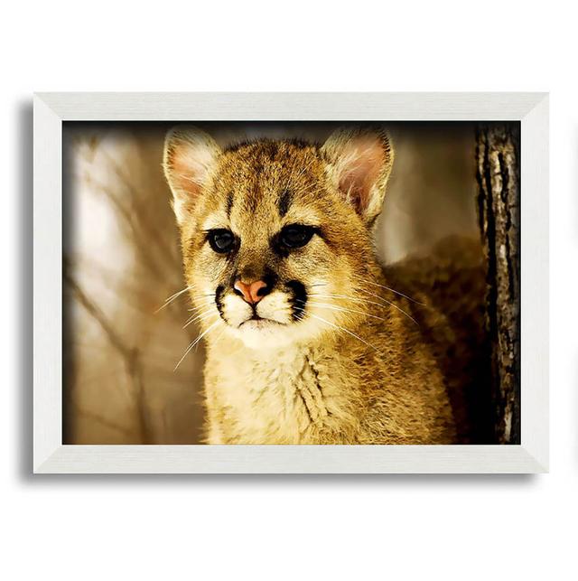 Dikili Panther in the Woodland - Single Picture Frame Art Prints Latitude Run Size: 21cm H x 29.7cm W x 10cm D on Productcaster.