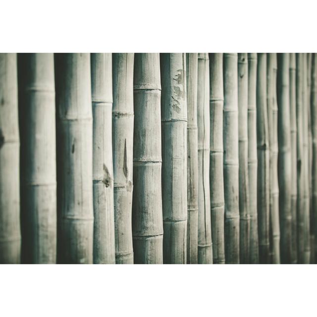 Bamboo Background - Print 17 Stories Size: 20cm H x 30cm W x 3.8cm D on Productcaster.