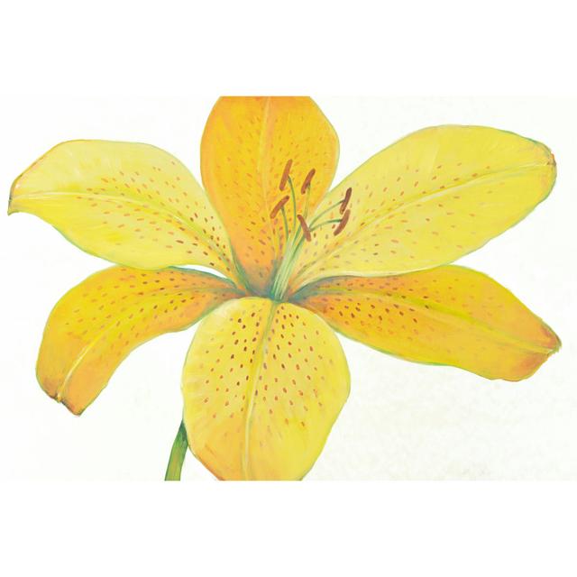 Citron Tiger Lily II by Timothy O' Toole - Wrapped Canvas Painting Rosalind Wheeler Size: 30cm H x 46cm W x 3.8cm D on Productcaster.