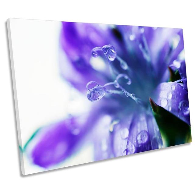 Flower Blossom Dew Floral Framed CANVAS PRINT Wall Art Ebern Designs Size: 61cm H x 91.4cm W x 4cm D on Productcaster.