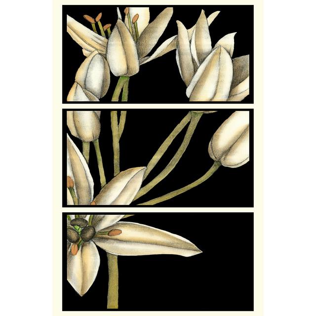 Graphic Lily II by Jennifer Goldberger - Wrapped Canvas Print Rosalind Wheeler Size: 46cm H x 30cm W on Productcaster.