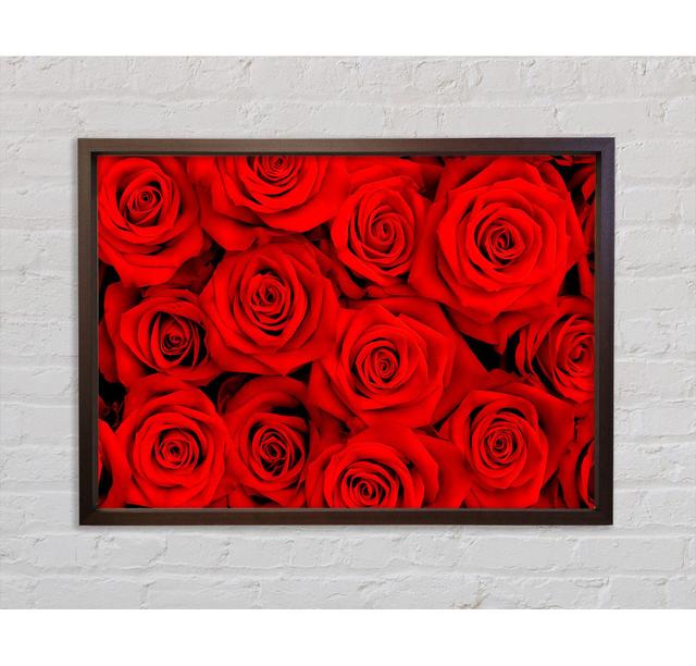 Lovely Roses For The One I Love - Single Picture Frame Print Latitude Run Format: Walnut Framed Canvas, Size: 84.1cm H x 118.9cm W x 3.3cm D on Productcaster.