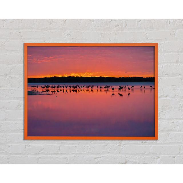 Pink Bird Paradise - Single Picture Frame Art Prints Highland Dunes Size: 59.7cm H x 84.1cm W x 2cm D on Productcaster.