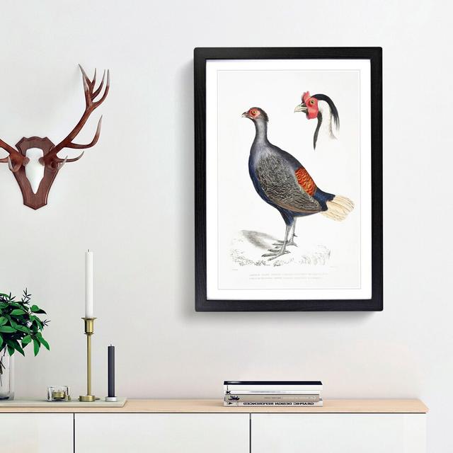 Crested Pheasant Illustration by John Edward Gray - Picture Frame Painting Print East Urban Home Frame Option: Black Framed, Size: 65cm H x 48cm W x 2 on Productcaster.