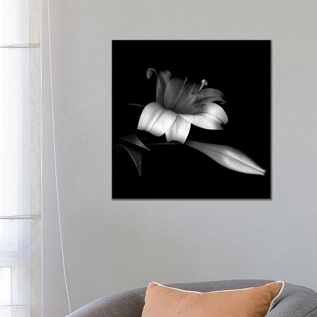 Pink Trumpet Lily, B&W by Magda Indigo - Wrapped Canvas Gallery-Wrapped Canvas Giclée Ebern Designs Size: 66.04cm H x 66.04cm W on Productcaster.