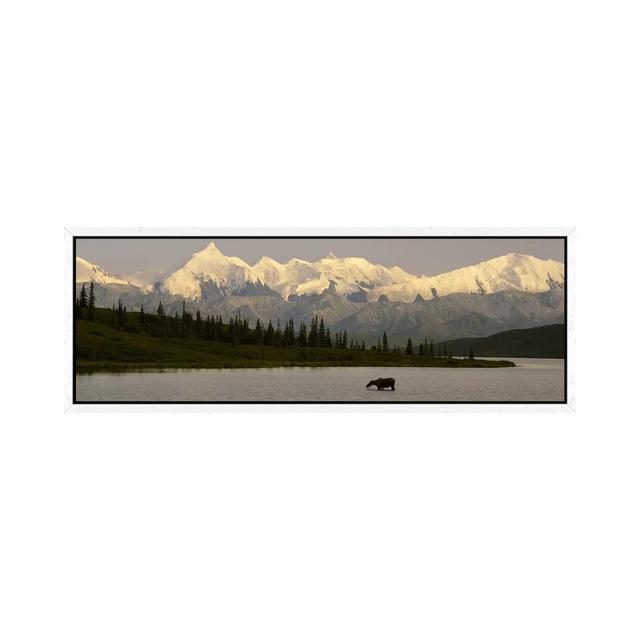 Moose Standing On A Frozen LakeWonder Lake, Denali National Park, Alaska, USA by Panoramic Images - Floater Frame Panoramic Gallery-Wrapped Canvas Gic on Productcaster.