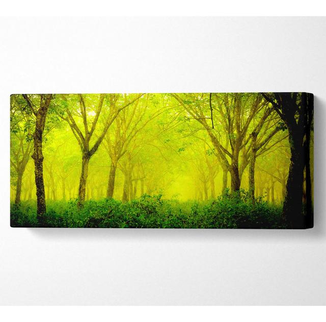 Stunning Green Forest - Wrapped Canvas Art Prints Union Rustic Size: 50.8cm H x 121.9cm W on Productcaster.