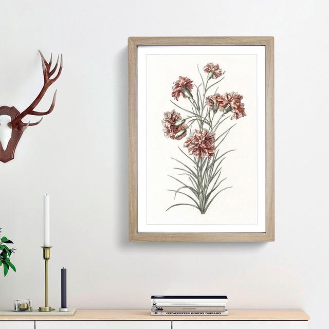 Six Carnations by Johan Teyler - Picture Frame Painting Print East Urban Home Frame Option: Oak Framed, Size: 36cm H x 27cm W x 2cm D on Productcaster.