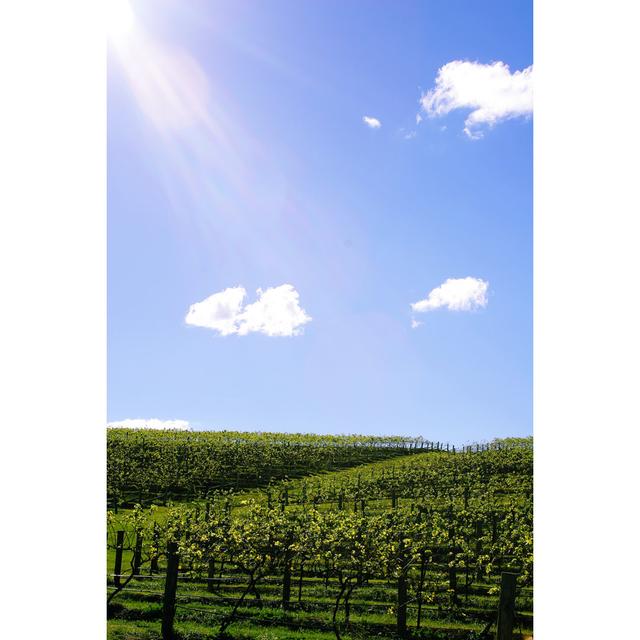 Beautiful Vineyard by Murraycox - Wrapped Canvas Print Brambly Cottage Size: 46cm H x 30cm W on Productcaster.