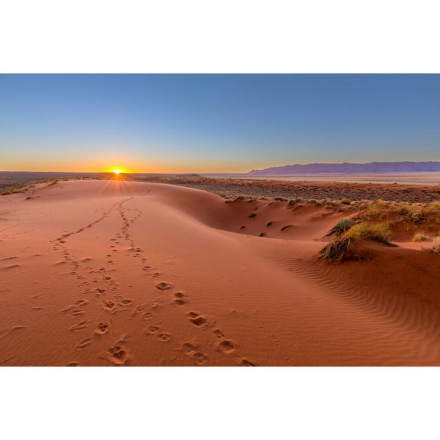 Kalahari Sunset by HannesThirion - Wrapped Canvas Print Natur Pur Size: 61cm H x 91cm W on Productcaster.