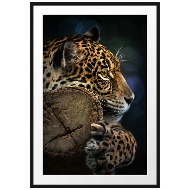 Gerahmtes Poster Wunderschöner Leopard East Urban Home Größe: 100 cm H x 70 cm B on Productcaster.