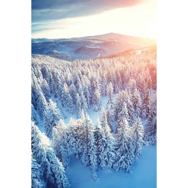 Idyllic Winter Sunrise by Borchee - Wrapped Canvas Art Prints Alpen Home Size: 122cm H x 81cm W on Productcaster.