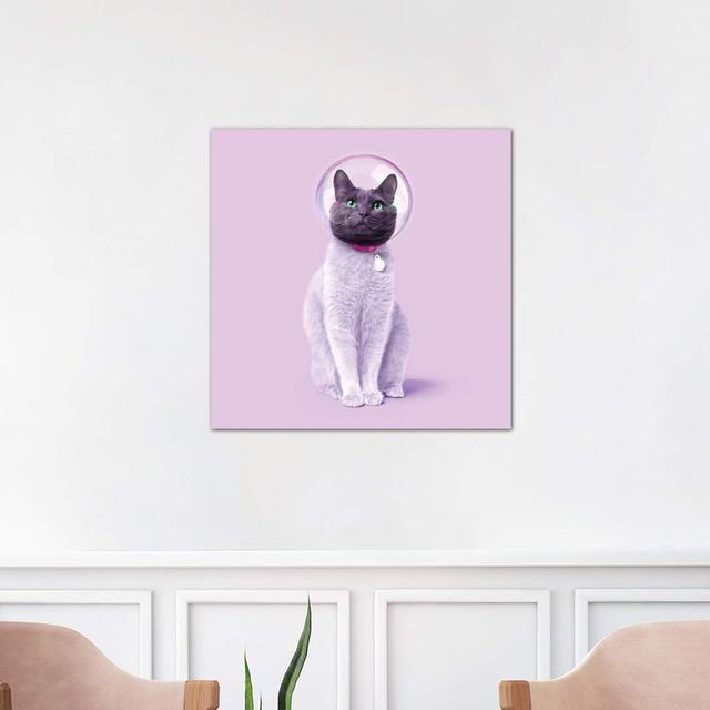 Space Cat by Paul Fuentes - Graphic Art Print on Canvas Maturi Size: 93.98cm H x 93.98cm W x 3.81cm D, Frame Option: No Framed on Productcaster.