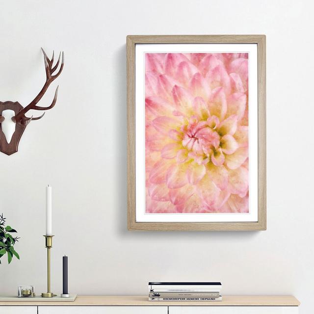 Pink Dahlia Flower Abstract - Single Picture Frame Print on MDF East Urban Home Frame Option: Oak Framed, Size: 33cm H x 24cm W x 2cm D on Productcaster.